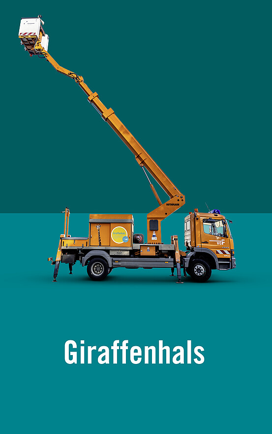 Giraffenhals