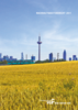 Skyline Frankfurt am Main mit gelben Blumenfeld davor