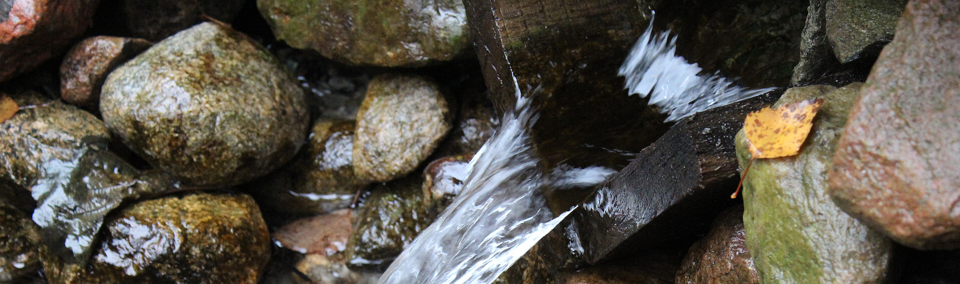 Fließwasser umgeben von Steinen