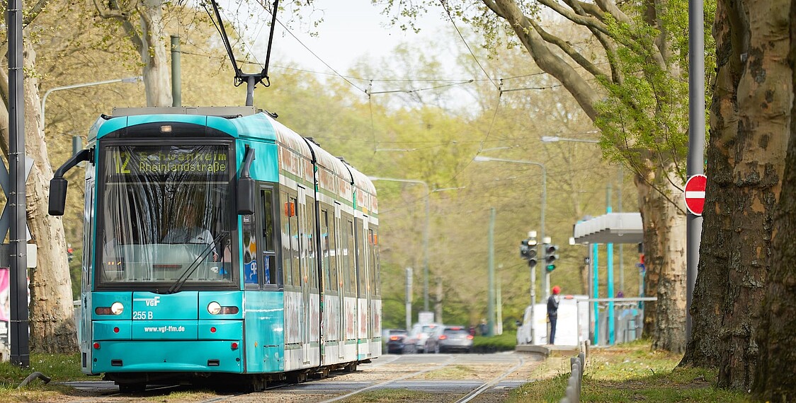 Picture of Stadtwerke Verkehrsgesellschaft Frankfurt am Main